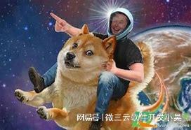 狗狗币今日最新价格_狗狗币_狗狗币钱包app下载