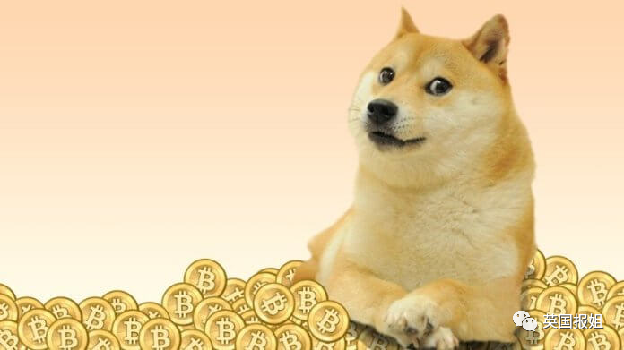 狗狗币今日最新价格_狗狗币_狗狗币钱包app下载