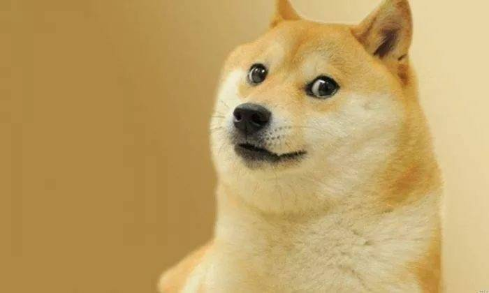 狗狗币_狗狗币今日最新价格_狗狗币平台怎么下载