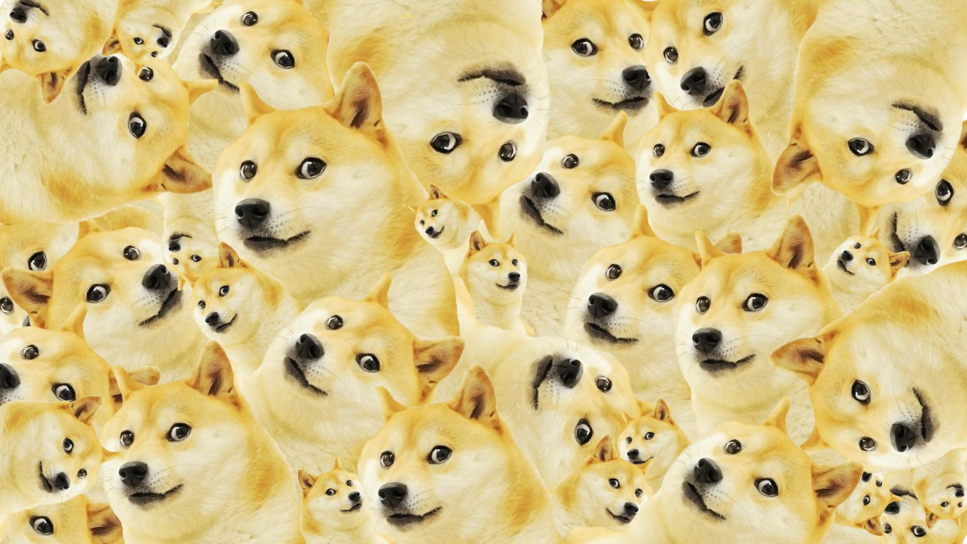 狗狗币_狗狗币今日最新_狗狗币app下载网址