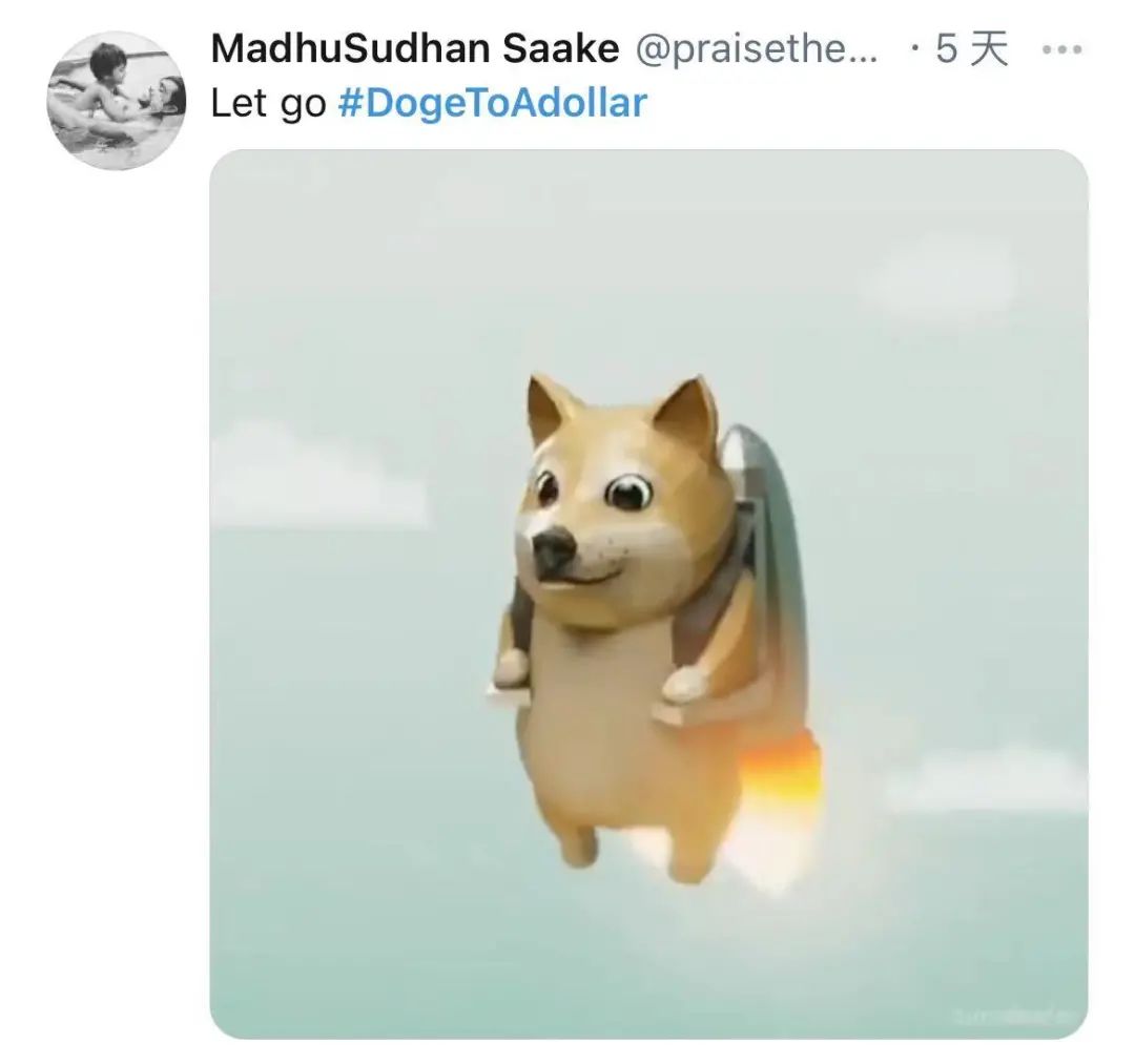 狗狗币app下载网址_狗狗币_狗狗币今日最新