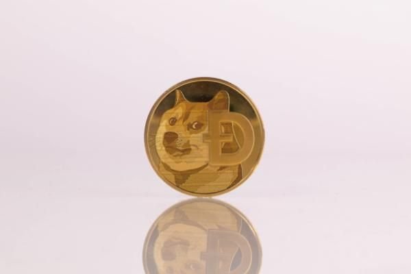 马斯克对狗狗币的看法_马斯克买了30亿美元狗狗币_狗狗币价格因马斯克言论下跌