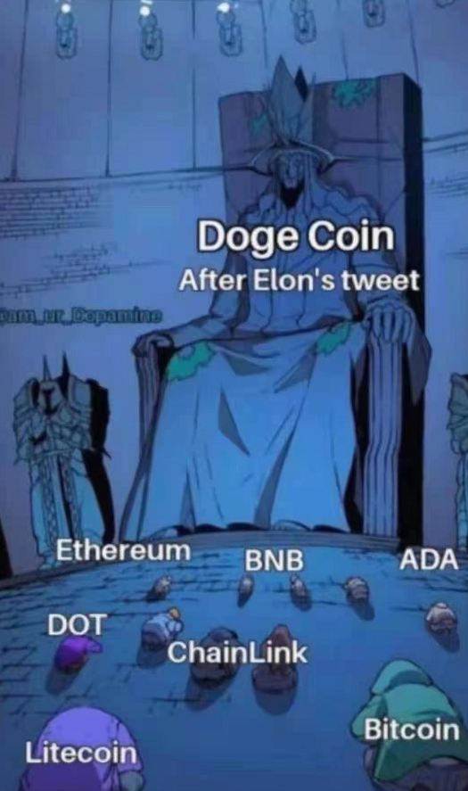 狗狗币涨势迅猛成圈子谈资，新韭菜似赚大钱