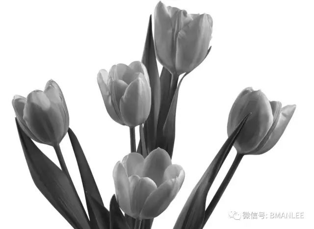 比特币场外交易升温：全民淘宝店长模式与未来主流趋势分析