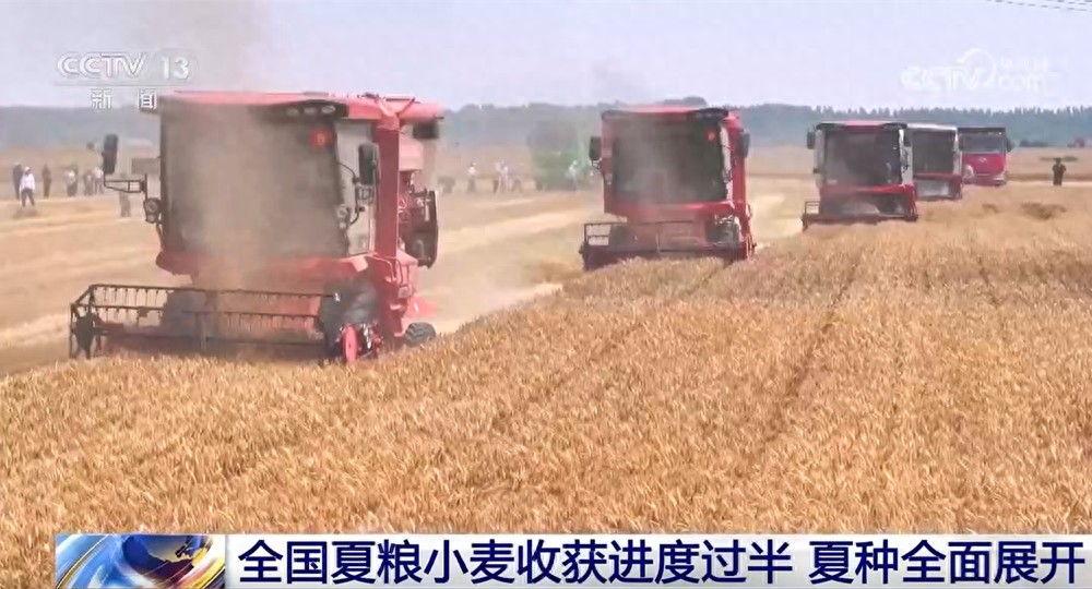 ETH_夏粮小麦机收进度_高标准农田建设效率提升