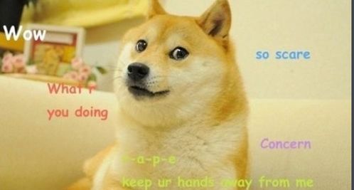DOGE币的日常用途扩展计划是什么？