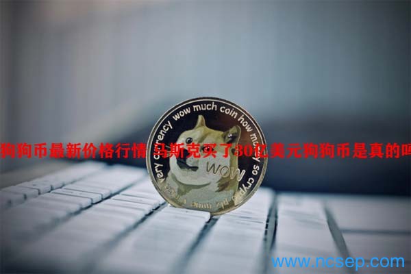 马斯克买了30亿美元狗狗币_欧意最新版本app_狗狗币最新价格行情