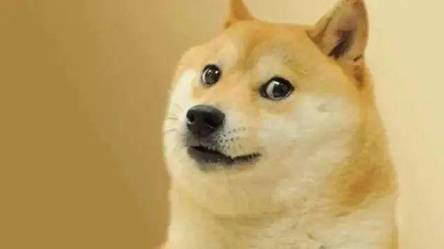 狗狗币是谁发明的?揭秘创始人当年吐槽币圈却意外造出千亿神币