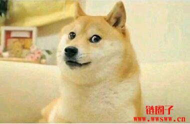 狗狗币优势明显似钞票，起源于梗图迷因你知道吗？