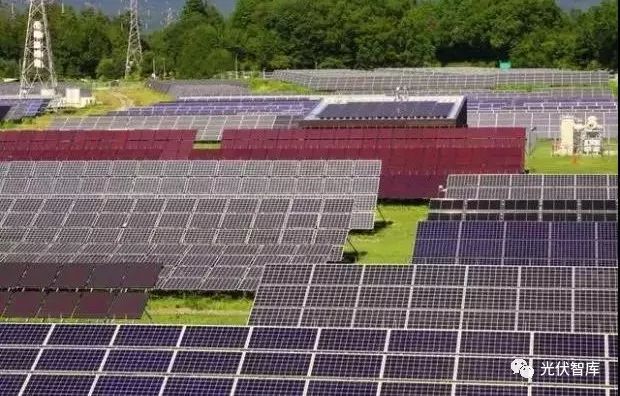 新能情报局：全球众多比特币企业为何选光伏发电降成本？