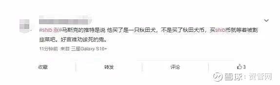 柴犬币价格暴涨原因_马斯克带货柴犬币_马斯克买了30亿美元狗狗币