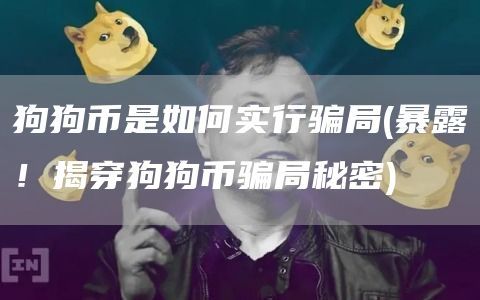 揭露狗狗币骗局_狗狗币到底是不是骗局_狗狗币运作方式