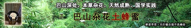 特朗普币加密货币_特朗普媒体科技集团筹集资金投资加密货币_特朗普旗下公司加密货币投资计划