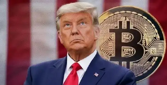 特朗普币投资亏损情况_特朗普币获利钱包分析_特朗普币加密货币