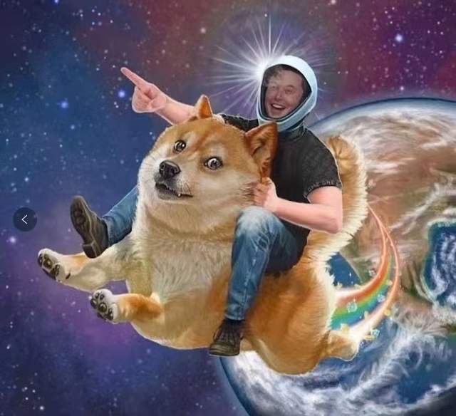 马斯克涉嫌金融诈骗？揭秘全球首富如何用狗狗币收割数百亿财富内幕