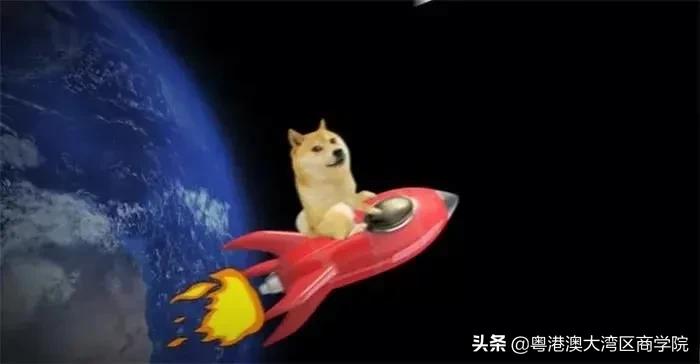 狗狗币到底是不是骗局_狗狗币与比特币对比_狗狗币诞生背景