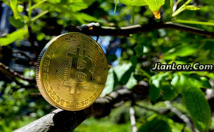 比特币价格最新动态：深入分析市场波动与投资策略