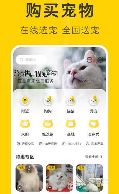 交易平台app下载_卖号交易平台app_十大交易平台app