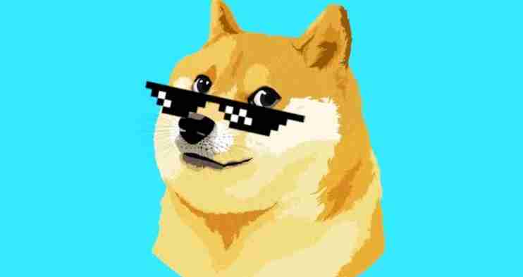 狗狗币（DOGE）未来前景解析：社区支持、商家采用与价格波动的影响