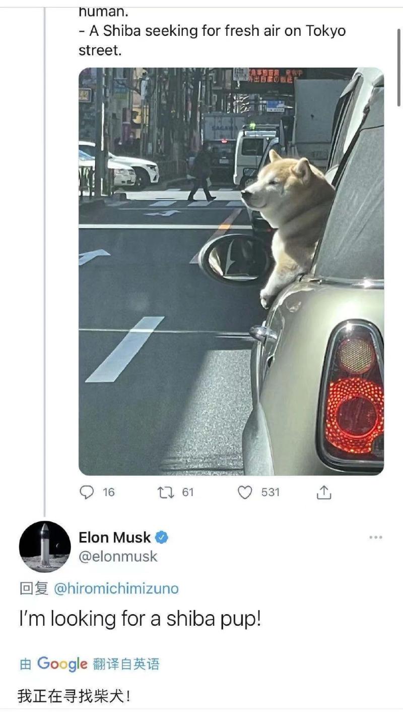 马斯克买了30亿美元狗狗币_马斯克上综艺致狗狗币闪崩_马斯克参与录制周六夜现场