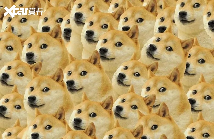 马斯克狂买30亿狗狗币,你跟上这波暴涨了吗?