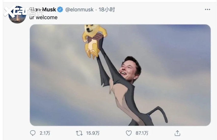 马斯克买了30亿美元狗狗币_狗狗币价格走势_马斯克对狗狗币的影响