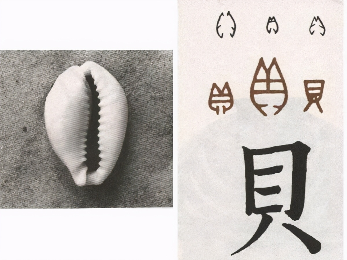 狗狗币对比特币的嘲讽_狗狗币的诞生过程_doge币是谁发行的